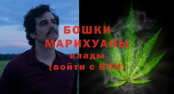 дживик Дмитровск