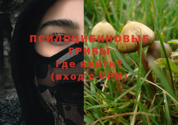 дживик Дмитровск