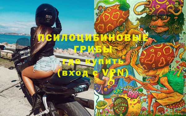 дмт Аксай